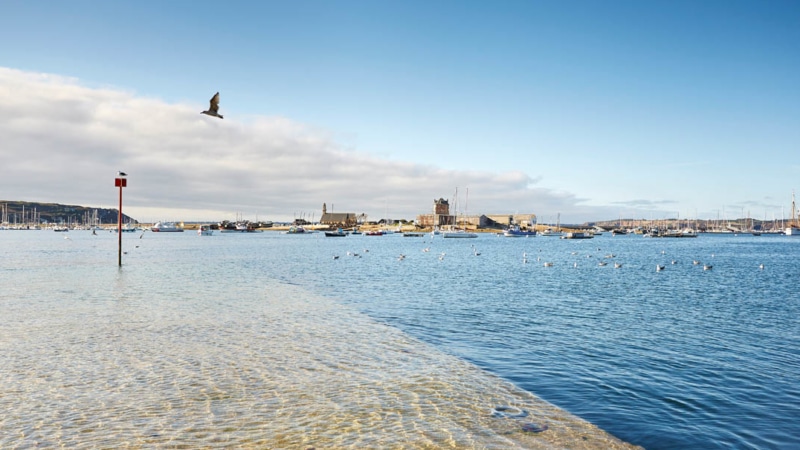 Découverte de l’archipel de Molène en semi-rigide à Camaret-sur-Mer