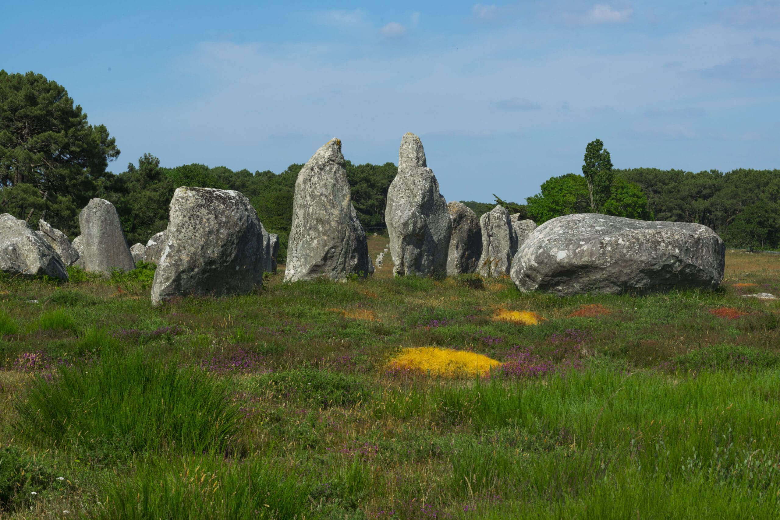 Balade découverte des alignements de menhirs à Carnac en Bretagne