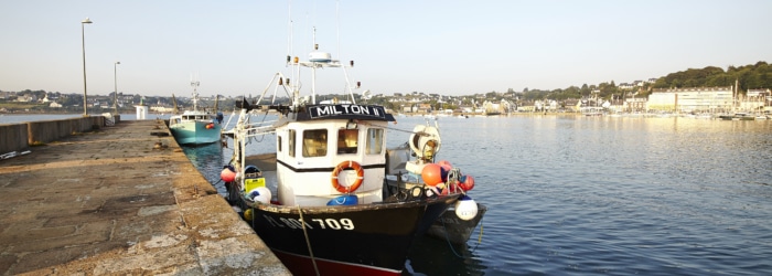 Déguster un bon plateau de fruits de mer dans un resto au port de plaisance