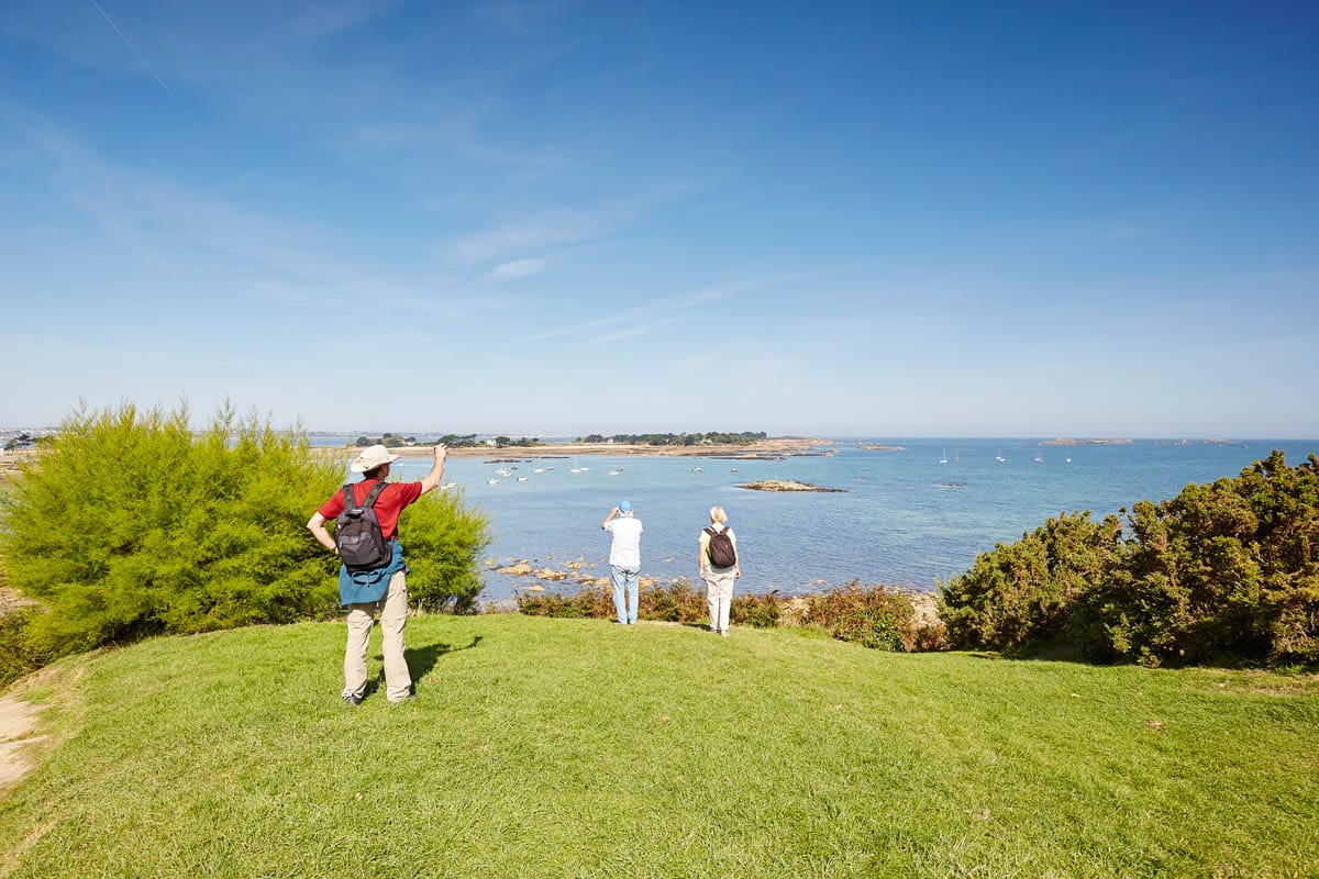 Observer les oiseaux de la baie de Morlaix depuis Carantec