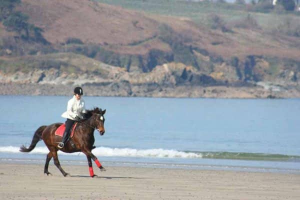 Balade à cheval en bord de mer