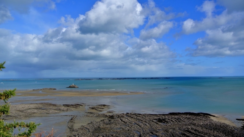 Be curious : Découverte du safari marin à Binic Etables sur Mer