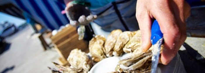 Déguster les huîtres sur le port de Cancale