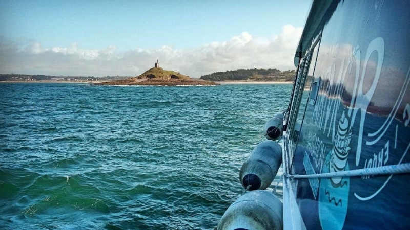 Rencontrer les oiseaux marins au Cap d’Erquy