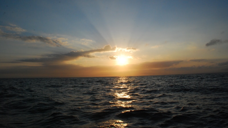 Pêche en mer  Emeraude Emotions