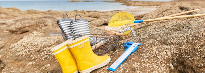 Tester la pêche à pied lors des grandes marées 