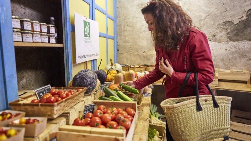 La fabrique du potager