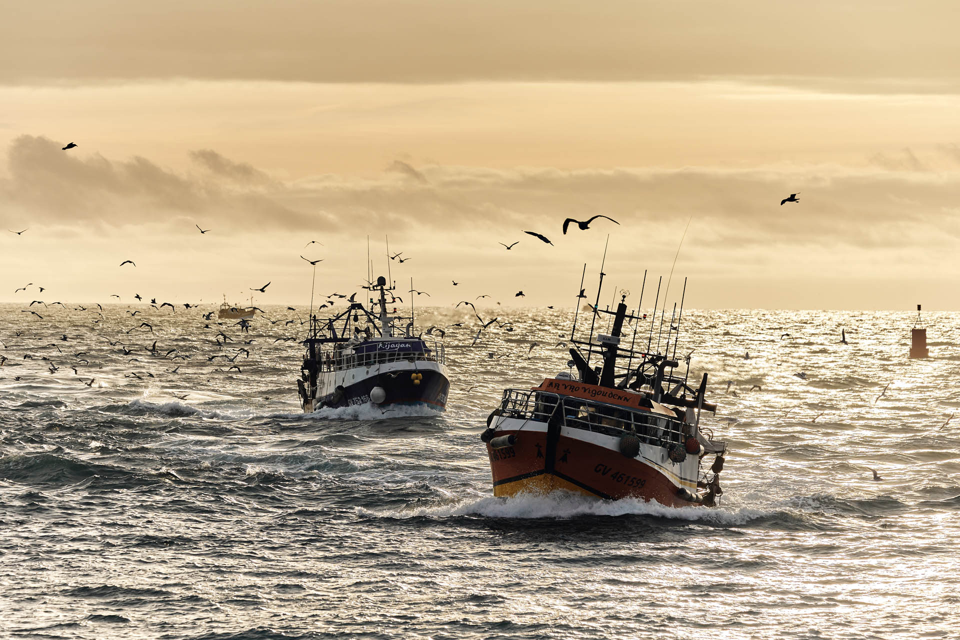 Partir à la rencontre des pêcheurs du Guilvinec