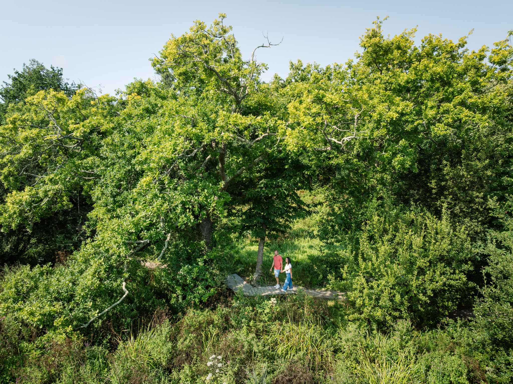 Un écrin de biodiversité à Trébeurden
