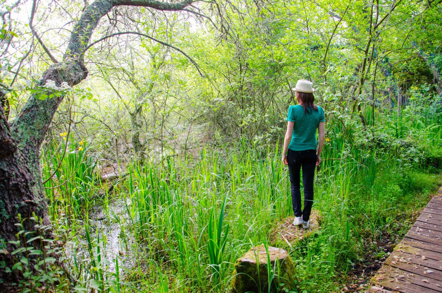 Un écrin de biodiversité à Trébeurden