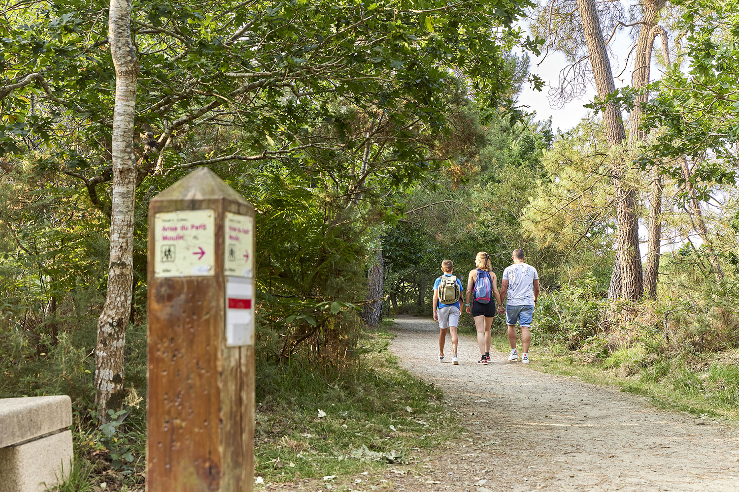 Autour de l'Anse du Petit Moulin