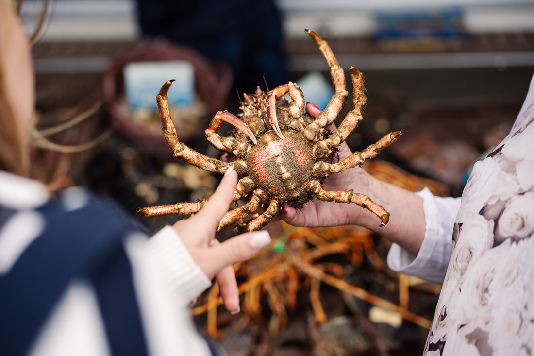 Les jours de marchés à Crozon