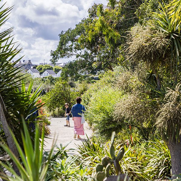 Le jardin exotique et botanique