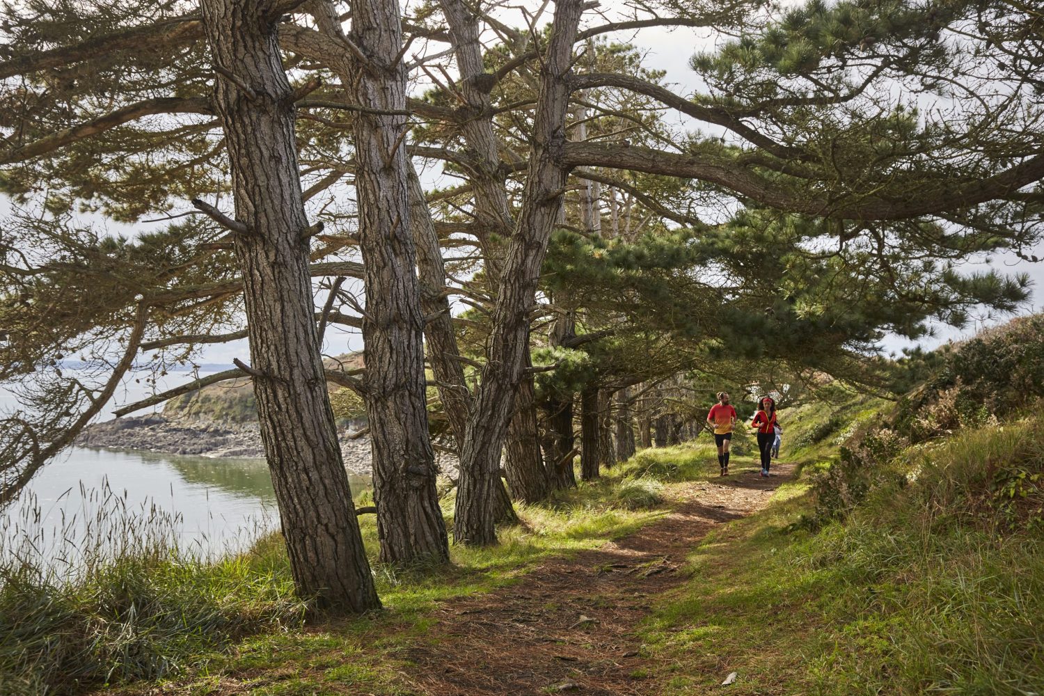 Sentier des douaniers