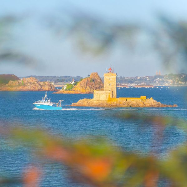Le Phare de l'île Noire