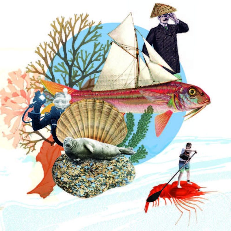 <h3>DP 2025 – Les dons de la mer : 10 plans pour plonger dans le littoral breton</h3>
