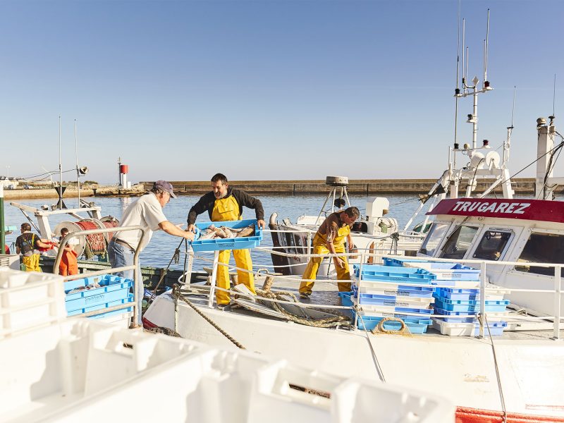 Le Guilvinec – Le port