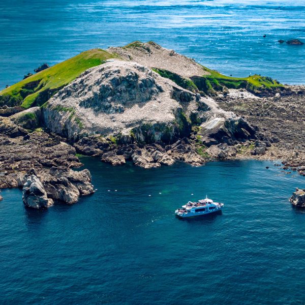 L'Archipel des Sept-Iles