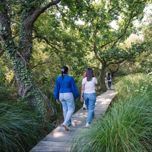 Le Marais du Quellen