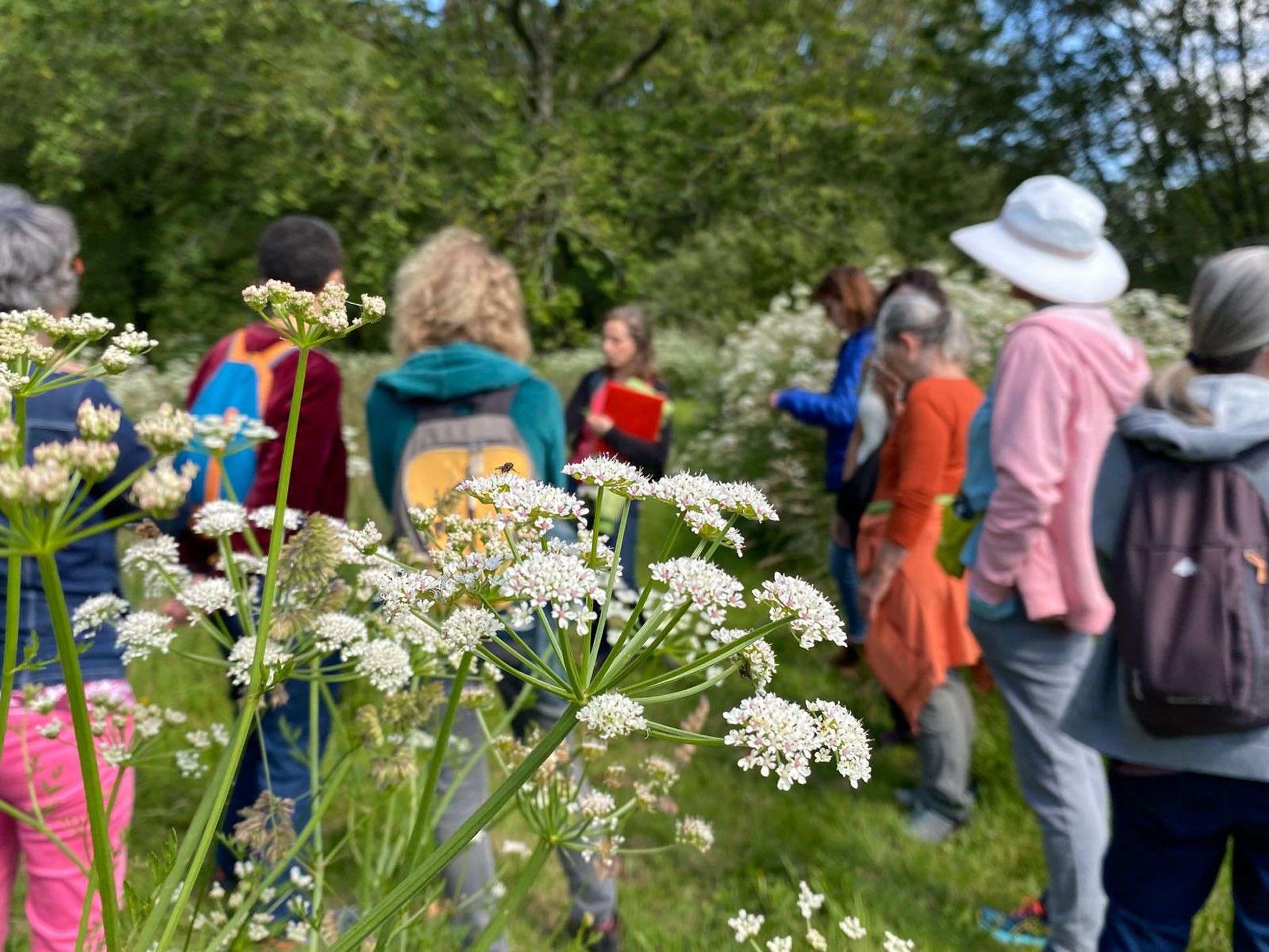 Incroyables Chemins