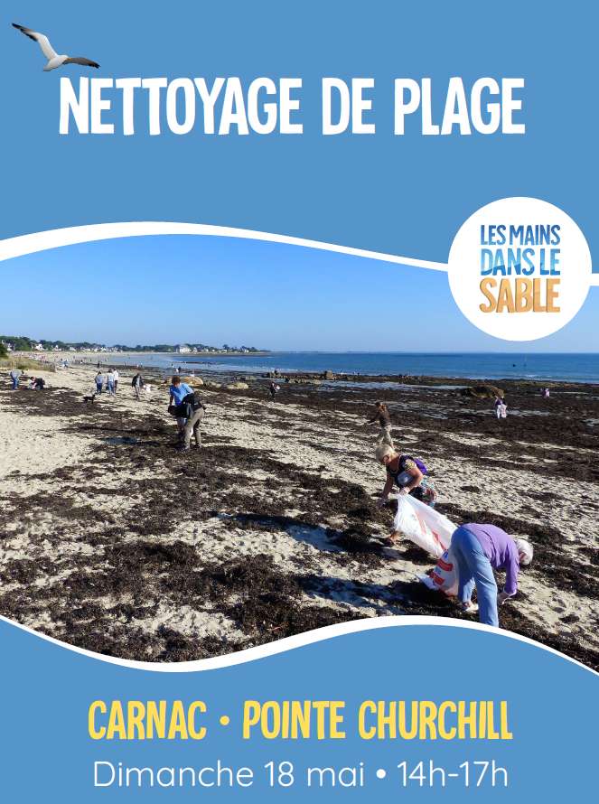 Nettoyage de la plage à Carnac avec Les Mains dans le Sable