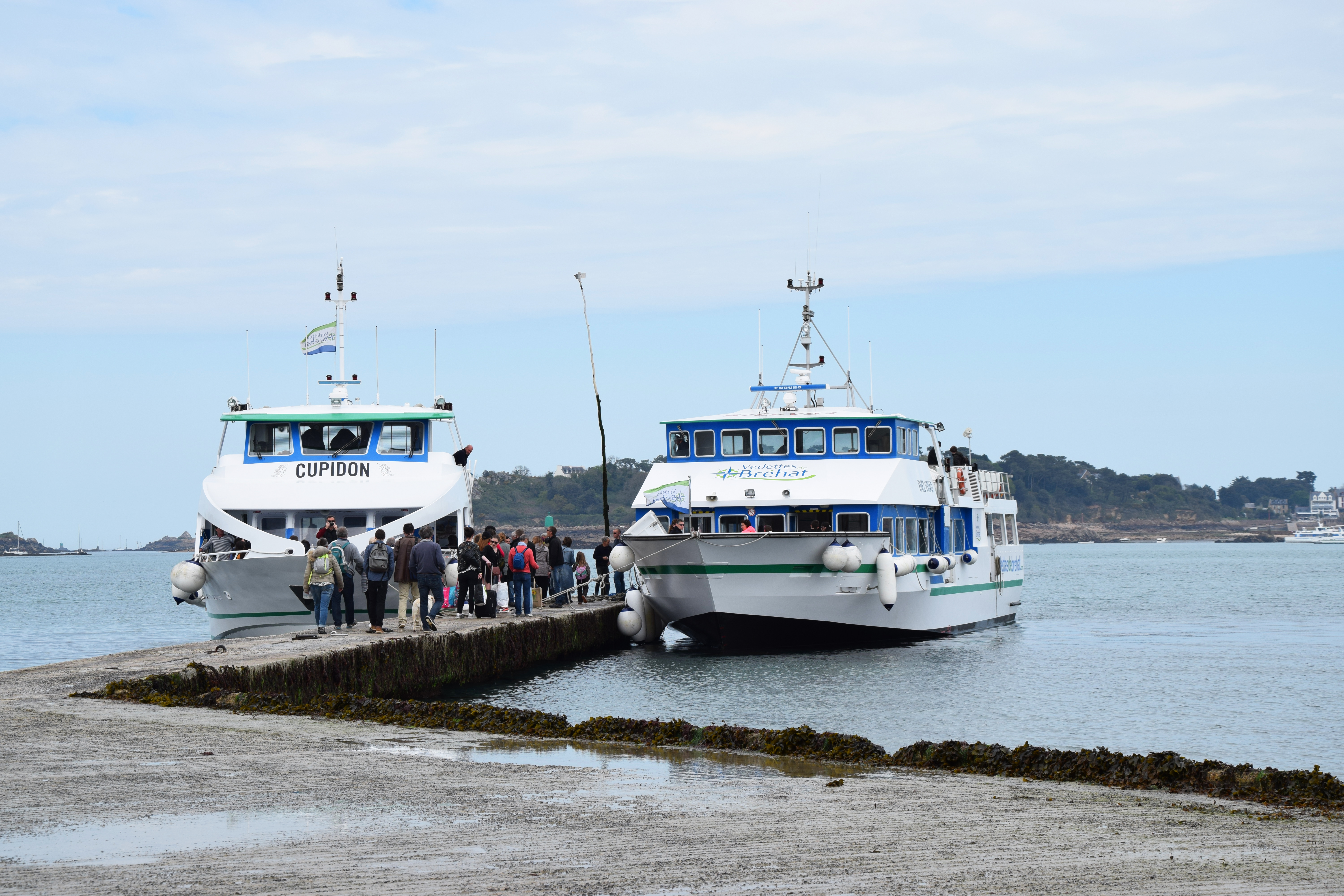 Croisière vers l’île de Bréhat (a/r) au départ de Binic