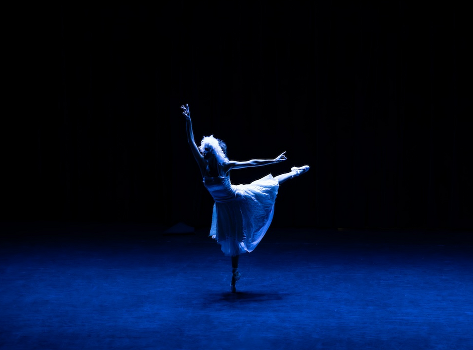 Festival Place aux Mômes – Un lac, des cygnes