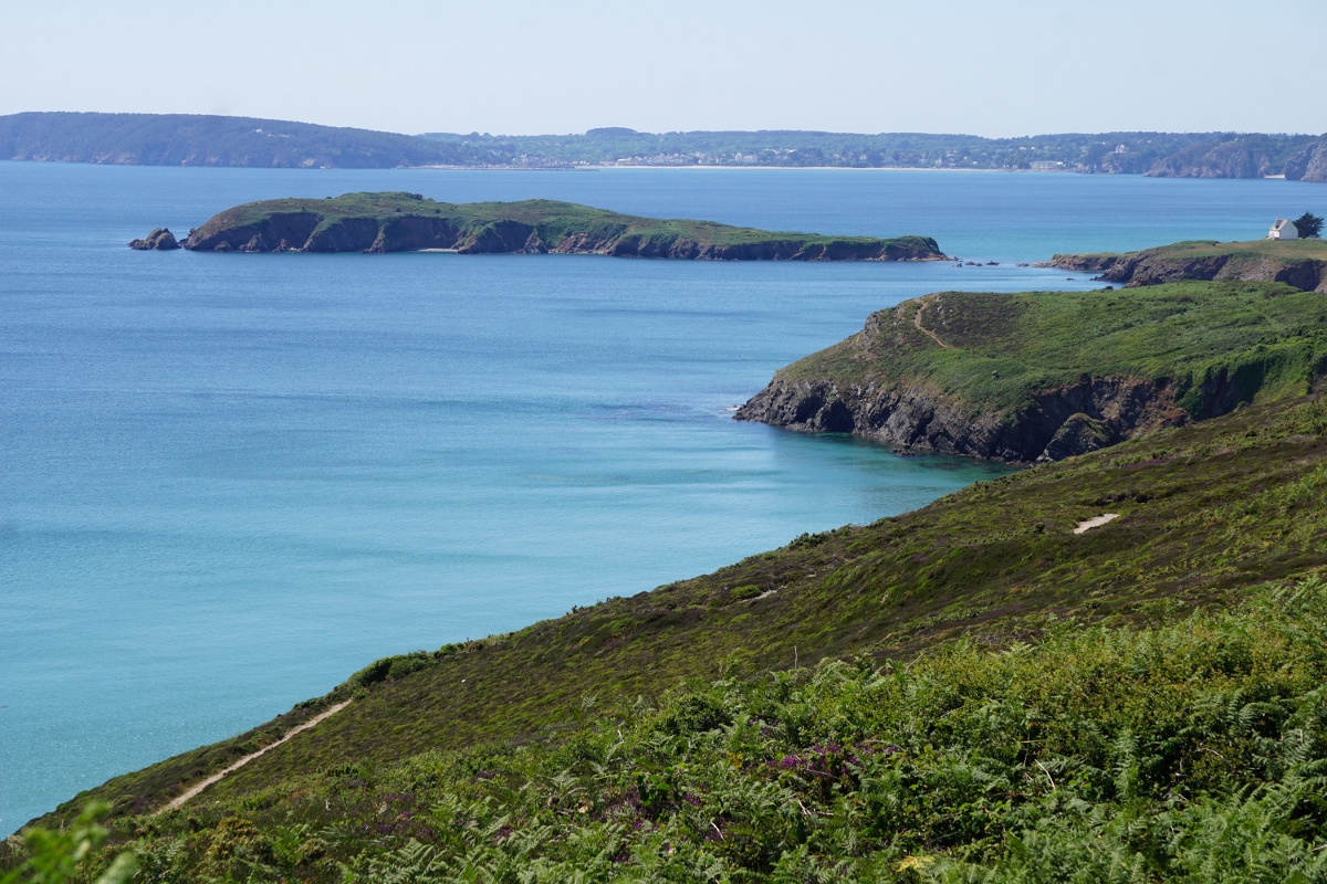 Chemins de Traverse