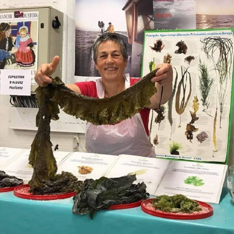 Les ateliers cuisine de Scarlette –  Algues et poissons