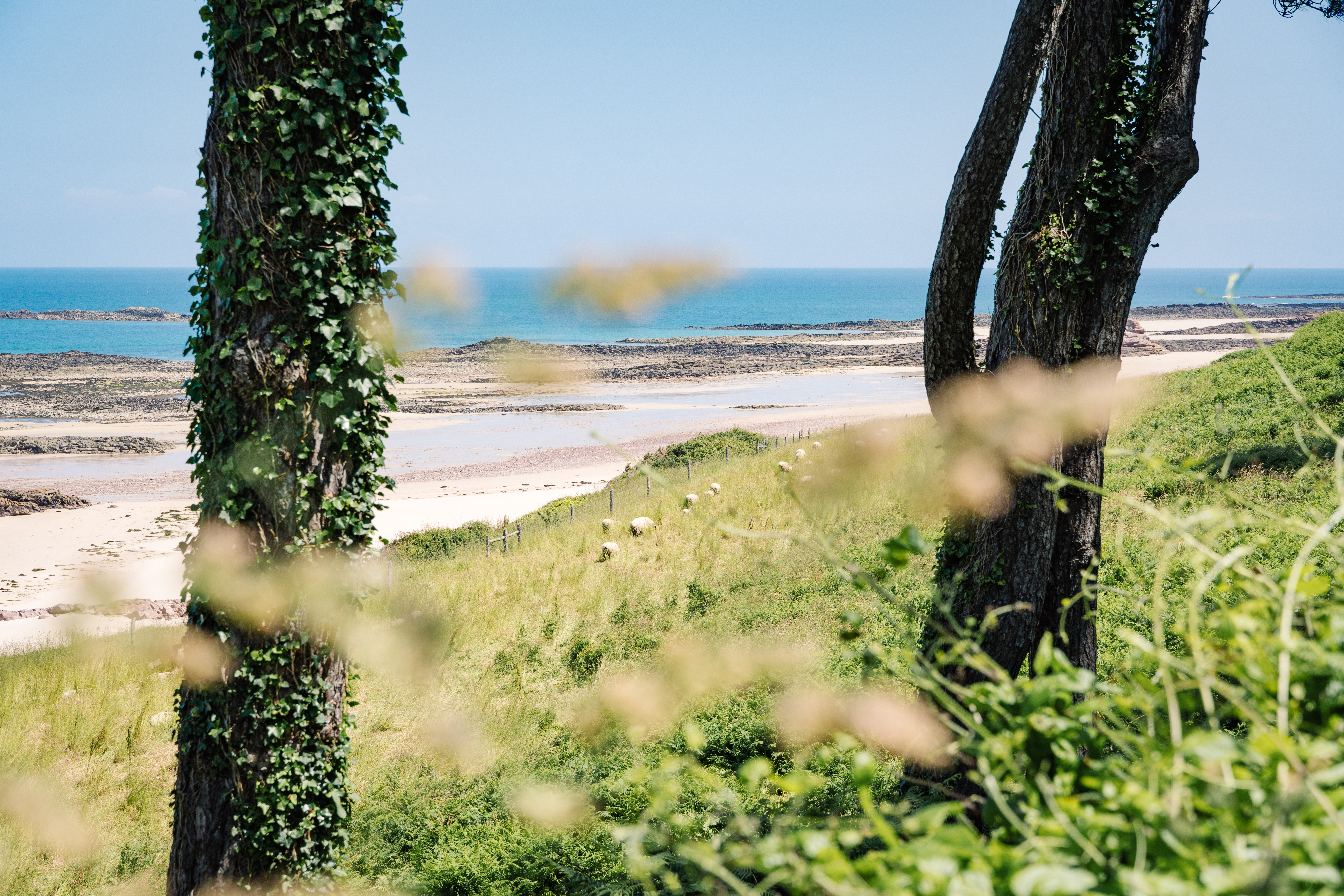 Plage sauvage du Guen
