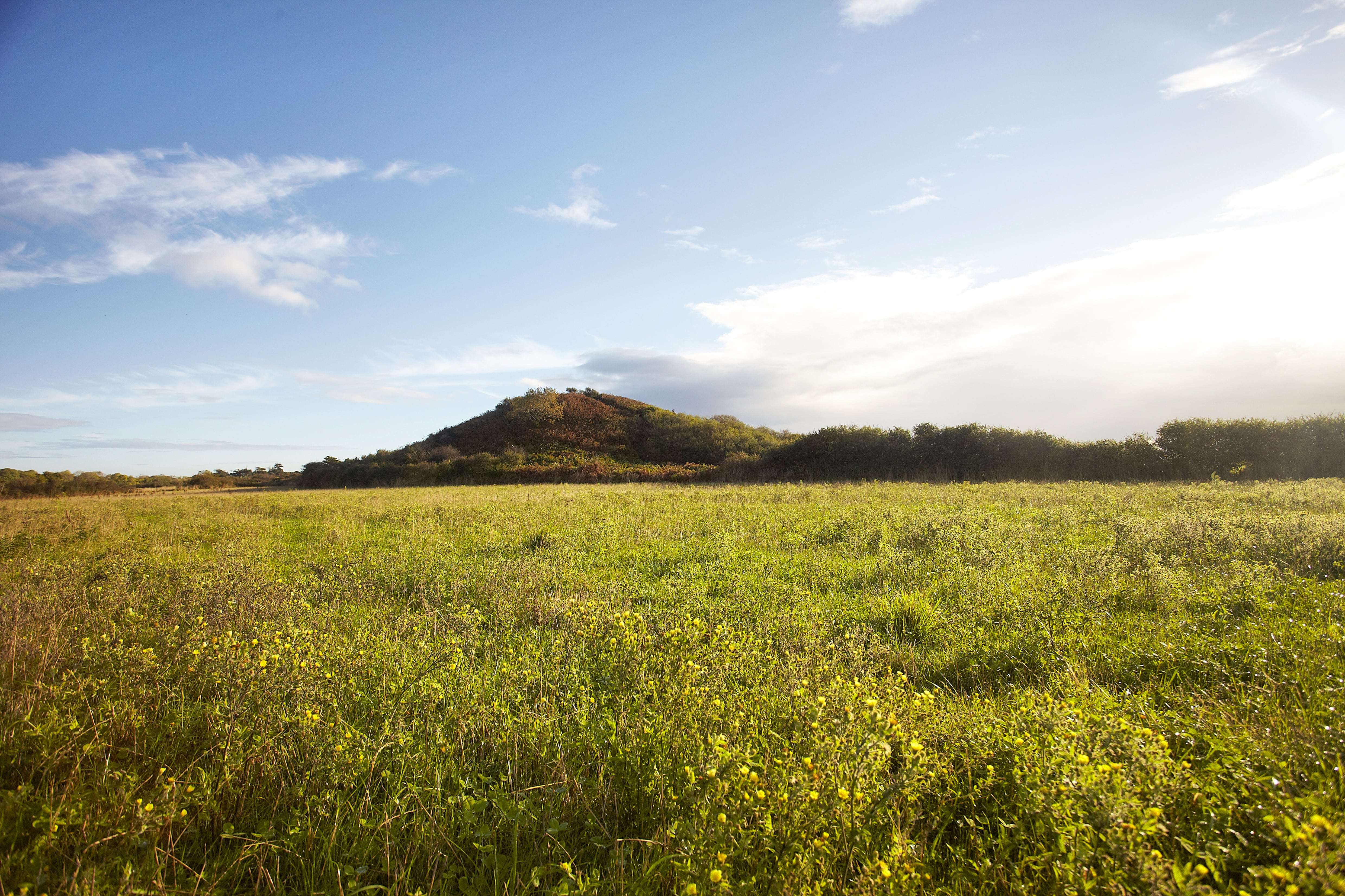 Le tumulus de Tumiac