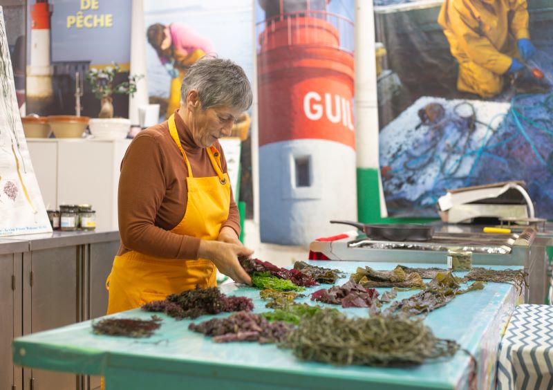 Les ateliers de Scarlette – Cuisine des Algues et poissons – Découverte de l’estran