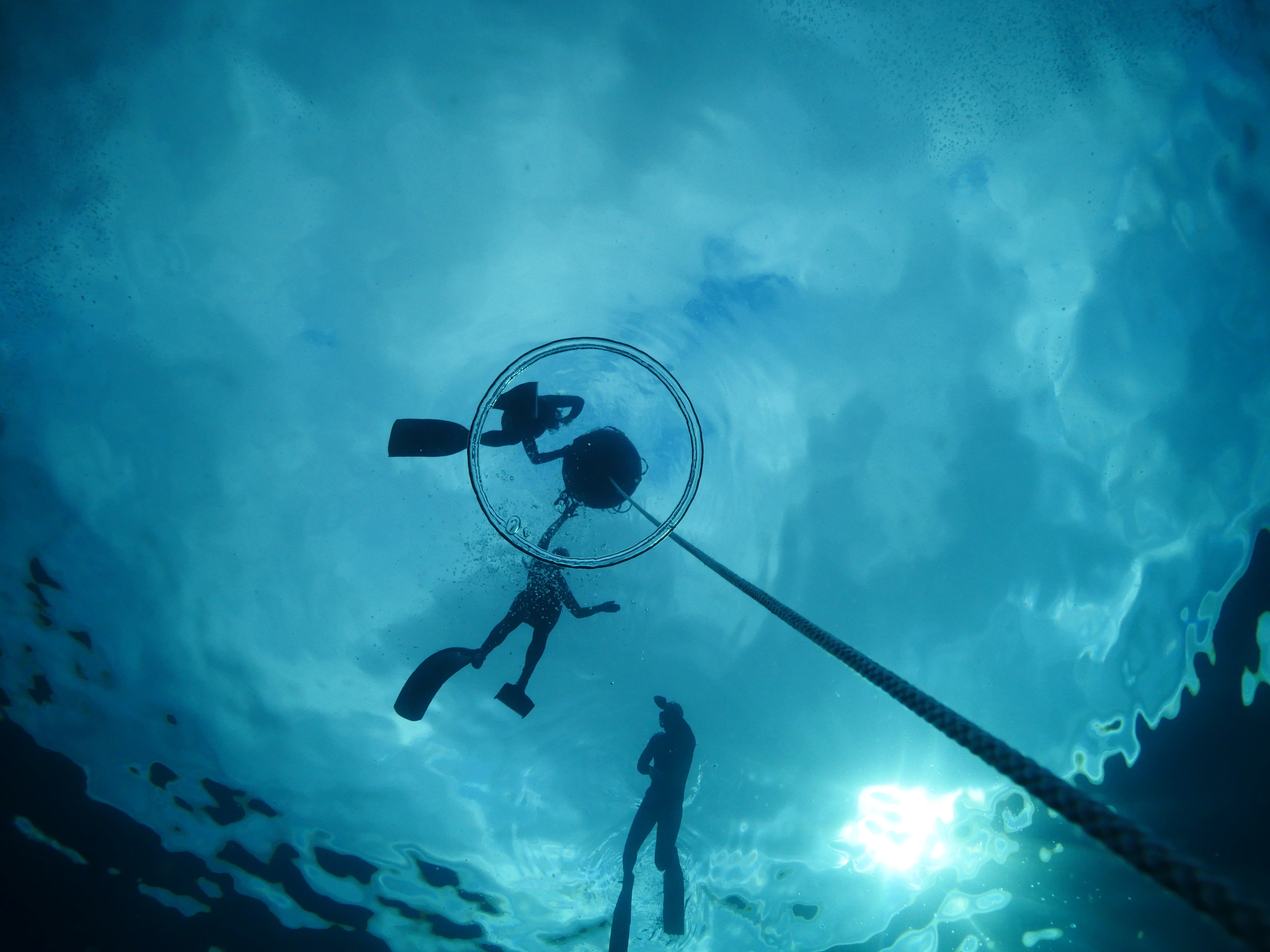 Into the Blue Freediving