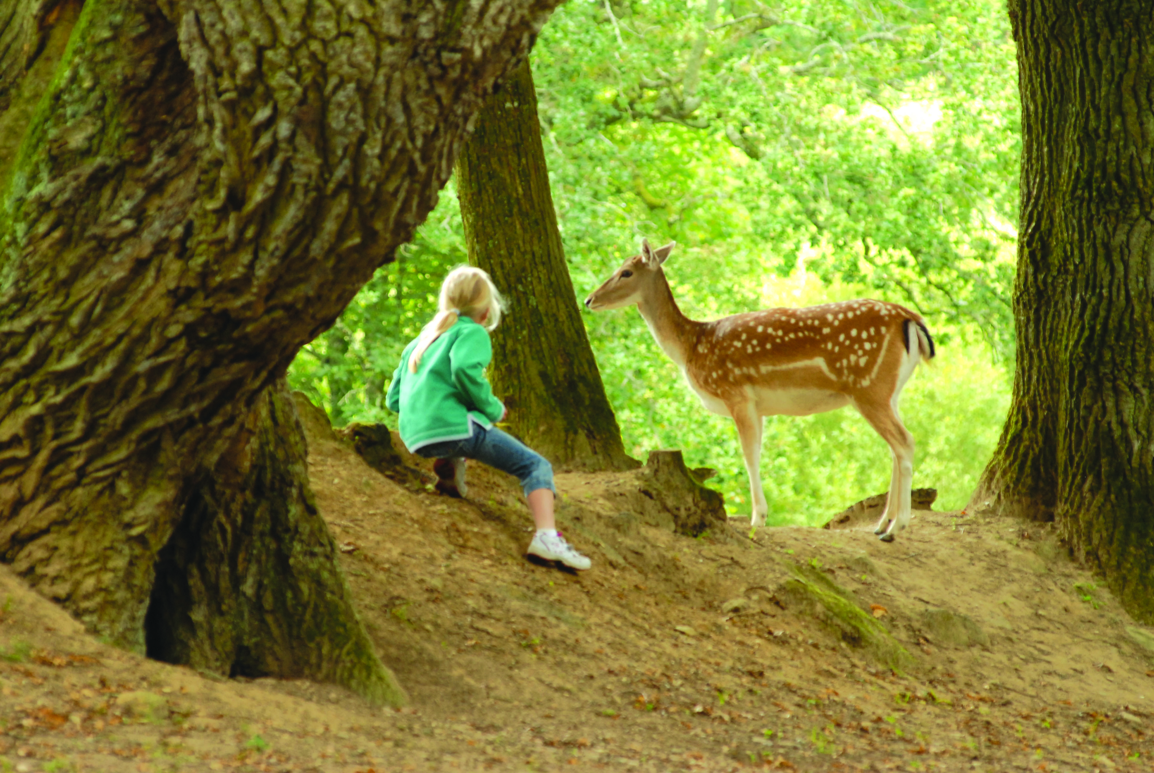 Parc Animalier du Quinquis