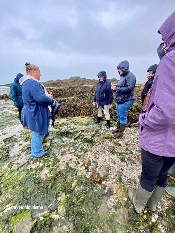 Balade autour des algues et visite de la Ferme Marine