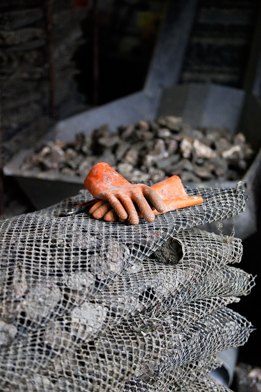 La Ferme Marine de Cancale