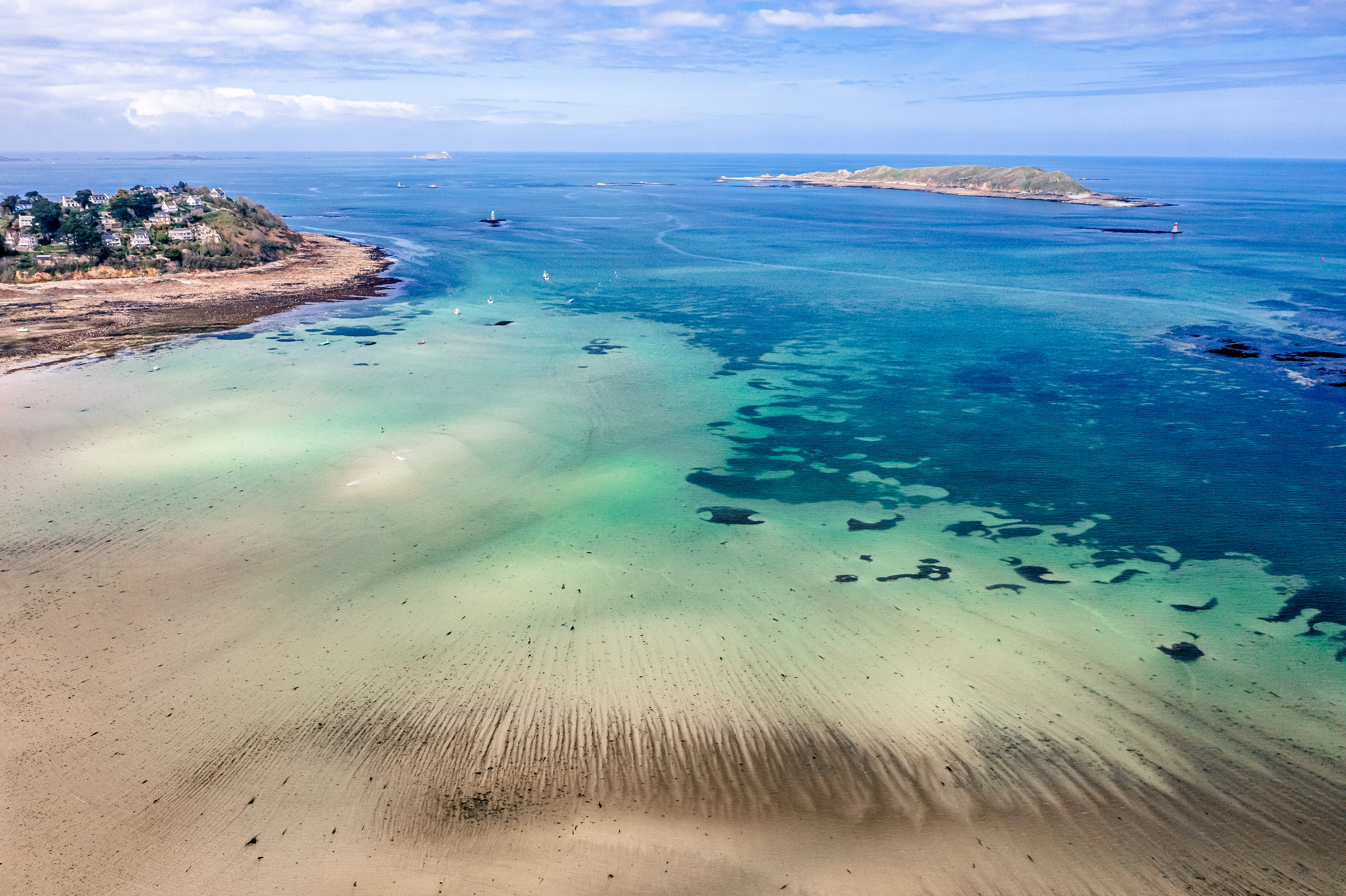 Découverte de la biodiversité de l’estran