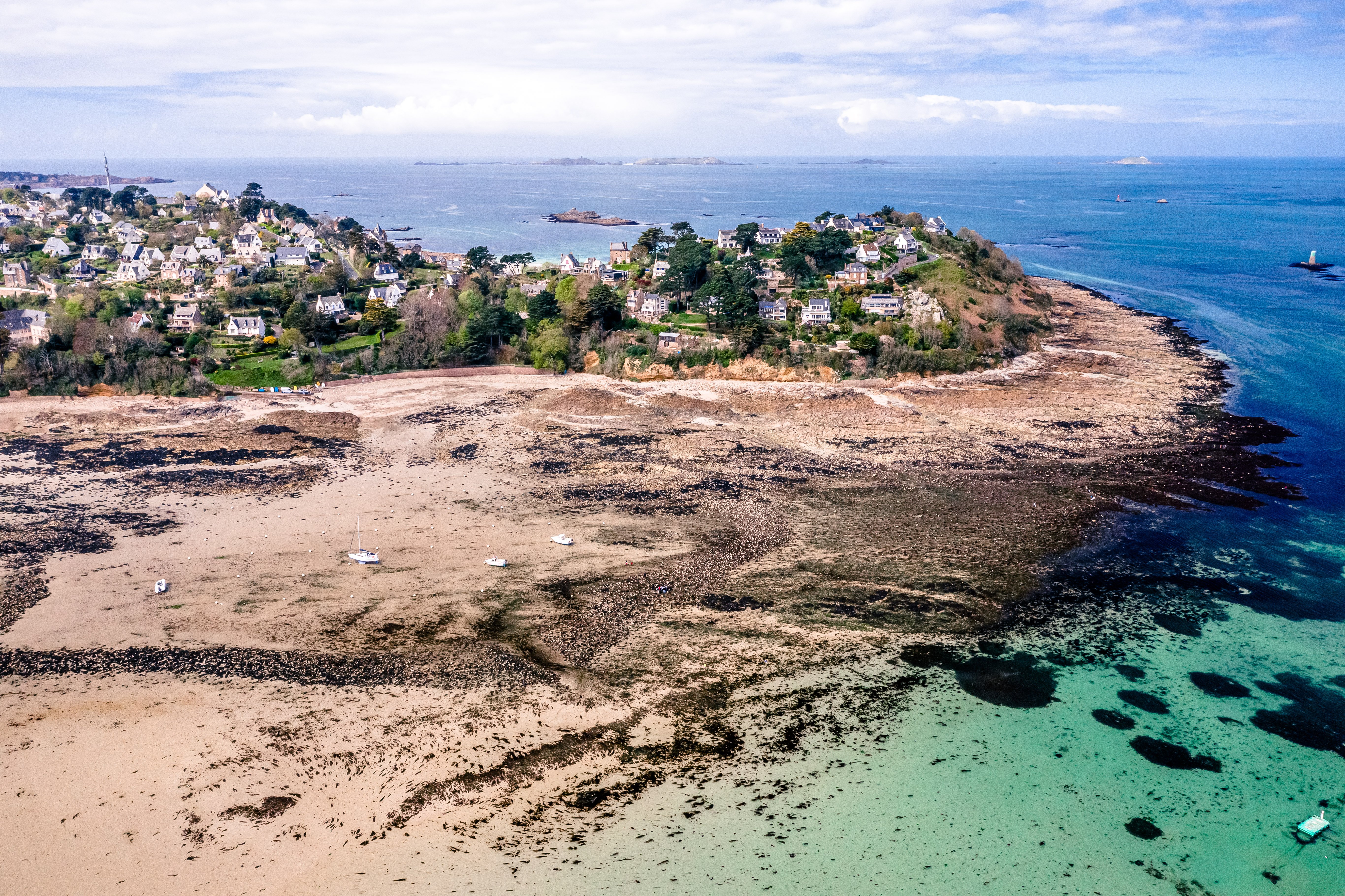 Découverte de la biodiversité de l’estran