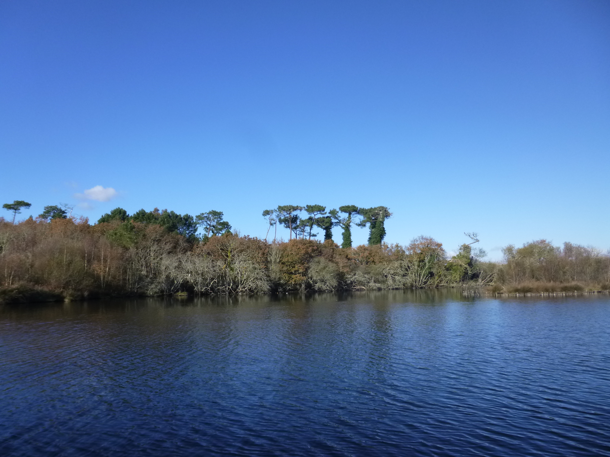 Le Polder de Mousterlin