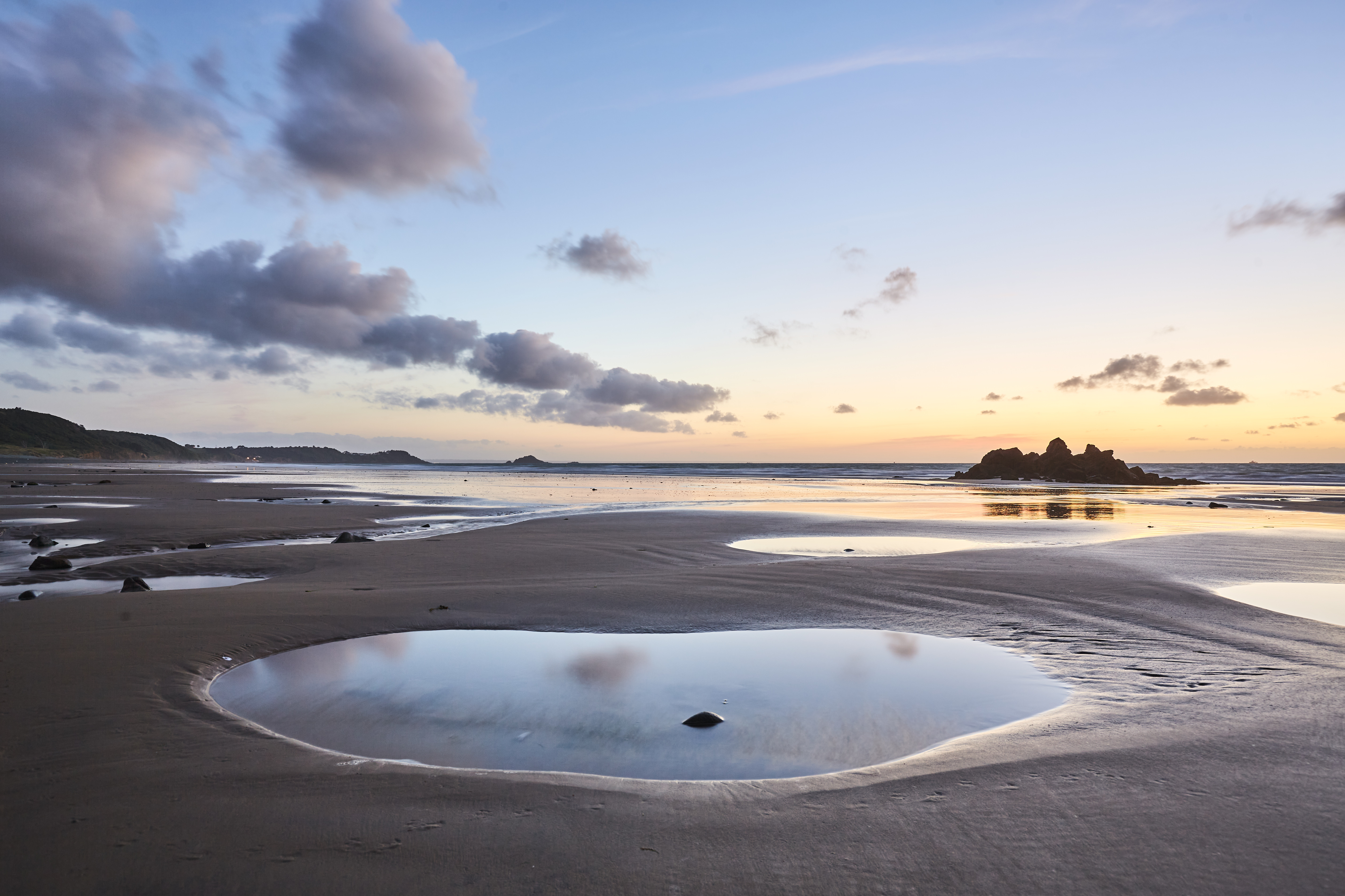 Les p’tites bêtes de la baie de Saint-Brieuc