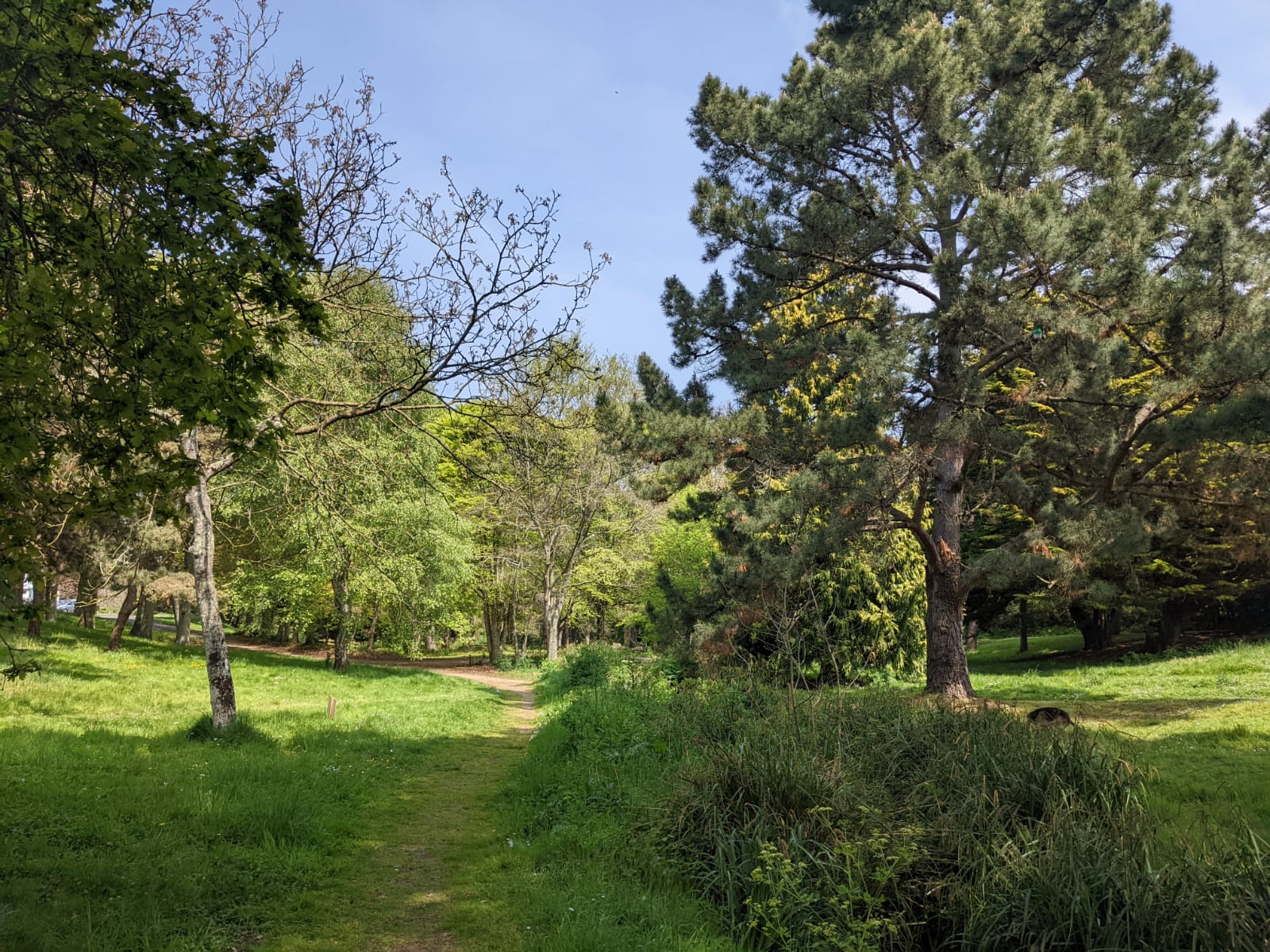 Parc de la Duchesse Annes