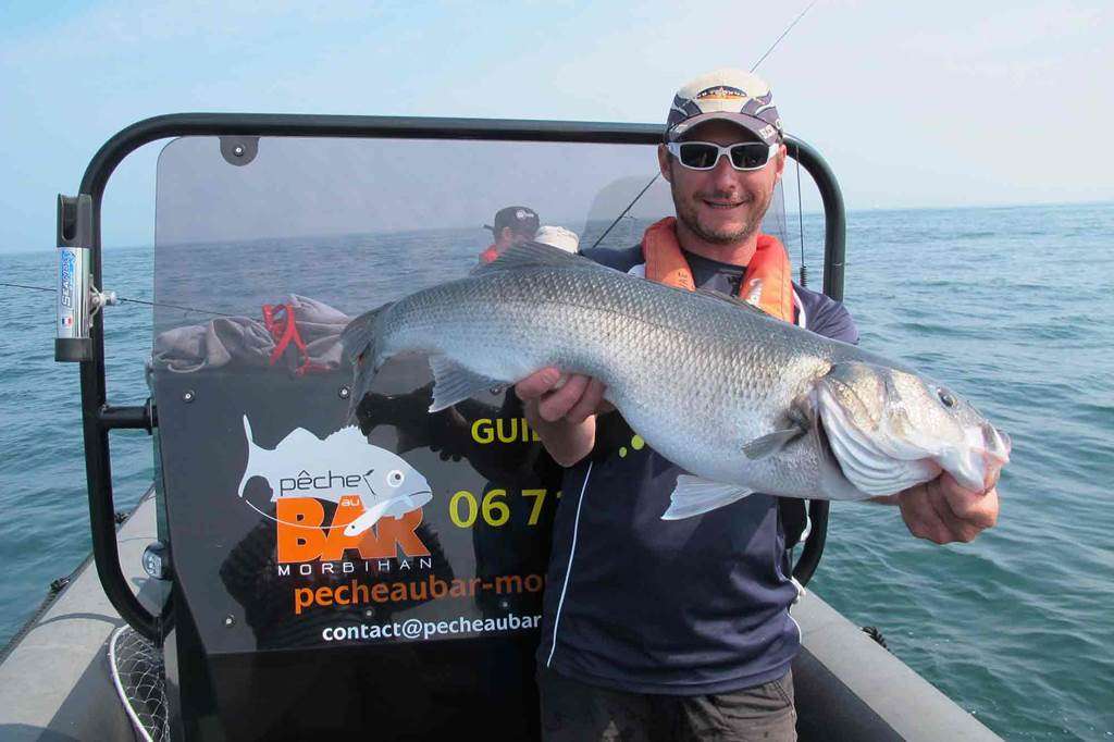 Pêche au Bar – Morbihan – Loïc Lemare