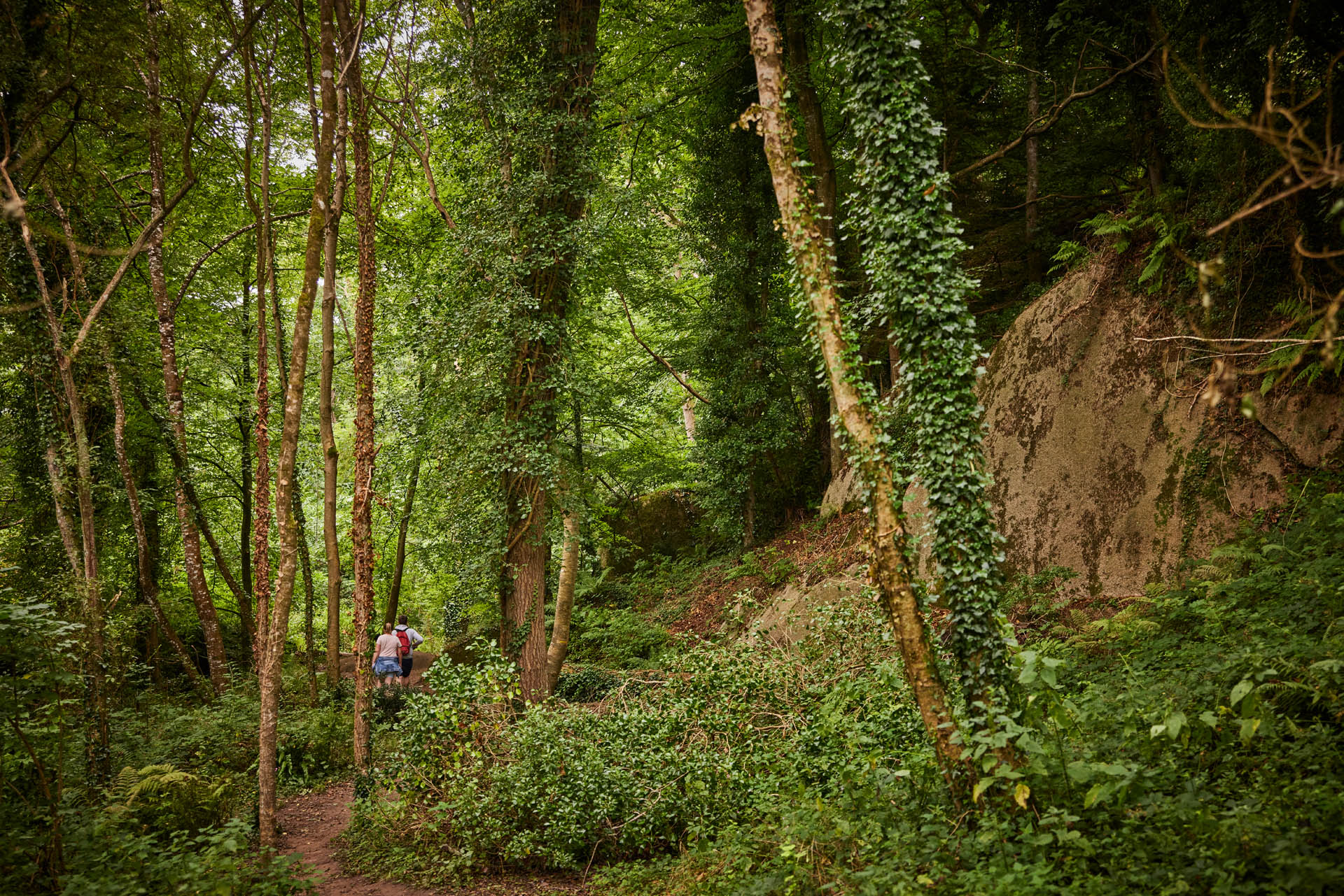 Découverte nature dans la Vallée des Traouïéro