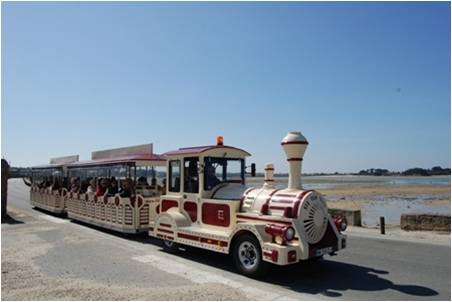 Le Petit Train Touristique