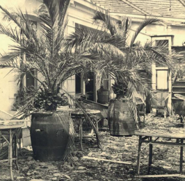 Visite guidée – Dinard pendant la guerre
