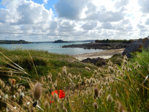 Plage de Ti Louzou