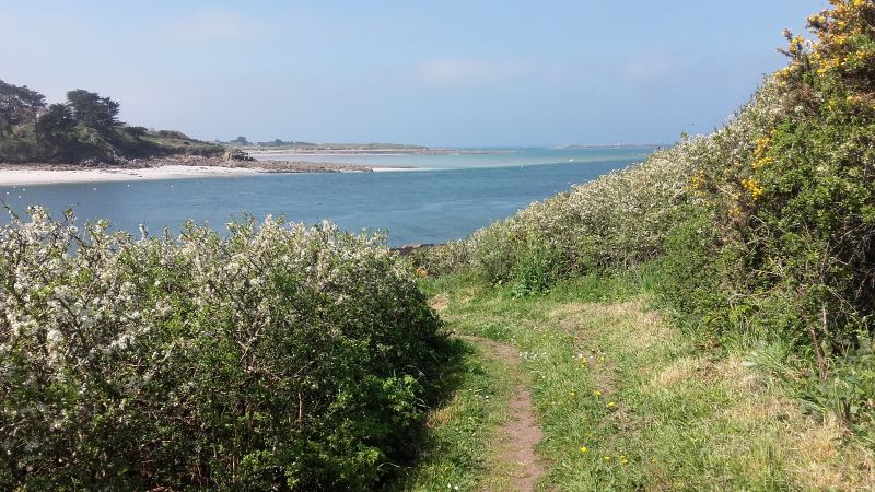 Plage de Broennou