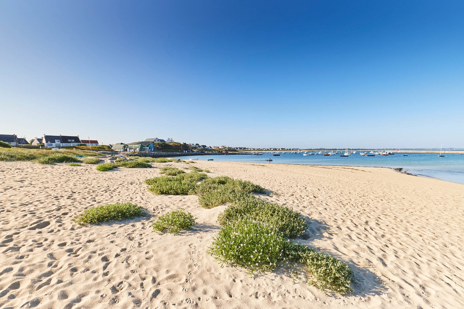 Plage du Port