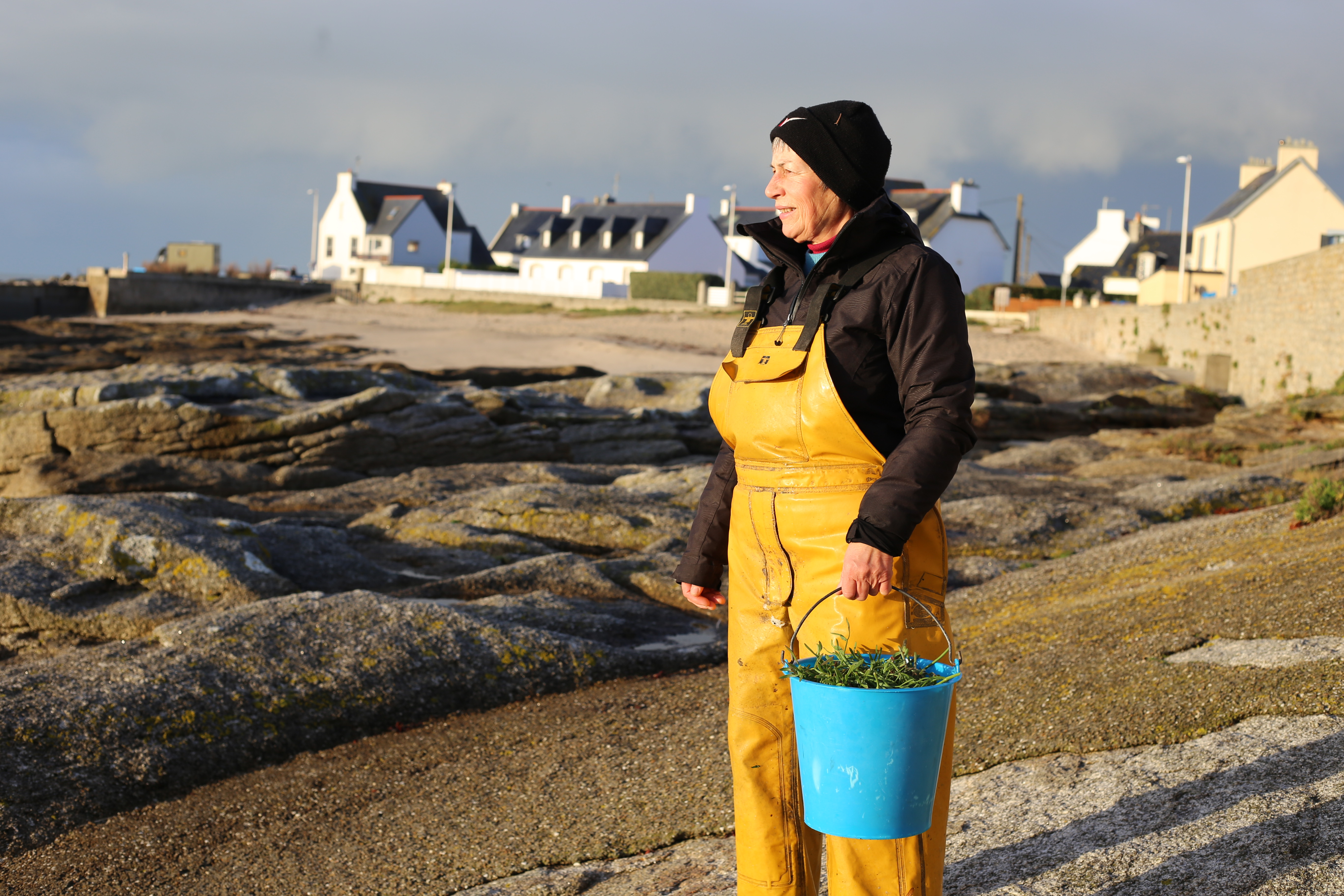 Atelir cuisine du poisson – Sortie sur l’estran – Atelier cuisine des algues