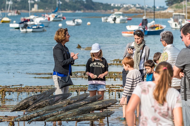 Visites ostréicoles à Plougasnou et Plouezoc’h